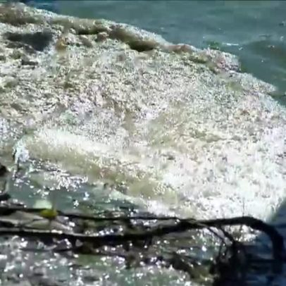 Nascente do Rio Tietê também apresenta água contaminada, aponta pesquisa