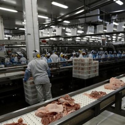 TST determina que gestante não pode trabalhar em frigorífico com ruído excessivo
