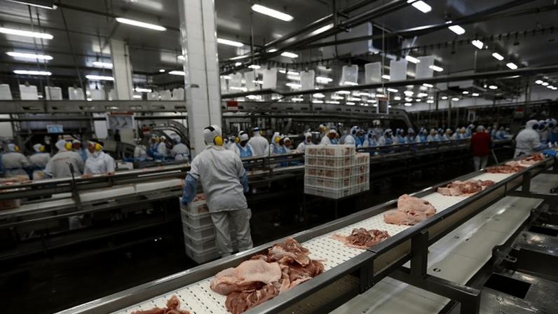 Ruído elevado em frigorífico impede trabalho de gestante, decide TST.