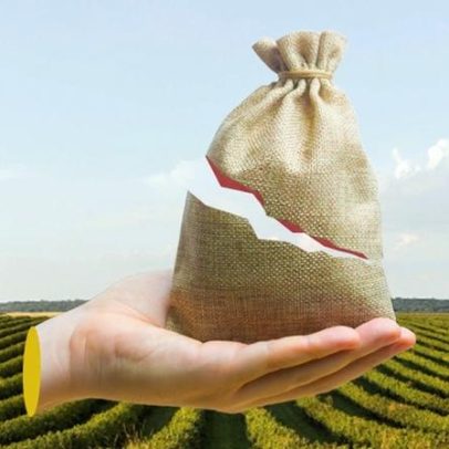 Justiça vê venda casada e anula seguros ligados a crédito rural