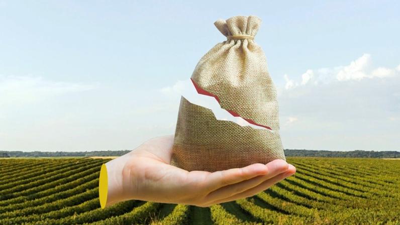 Justiça anula seguros vinculados a crédito rural por venda casada.