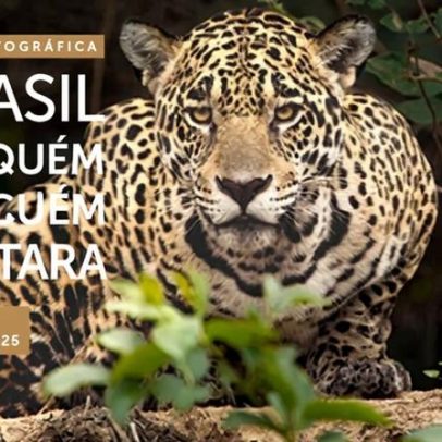 STJ recebe mostra de Araquém Alcântara sobre paisagens e povos do Brasil