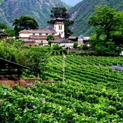 China pode ser a próxima história de sucesso do vinho fino