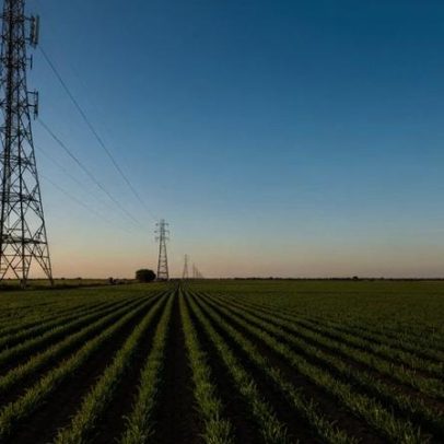 Ibge no Mato Grosso prorroga contrato de internet e reajusta valor para 2027