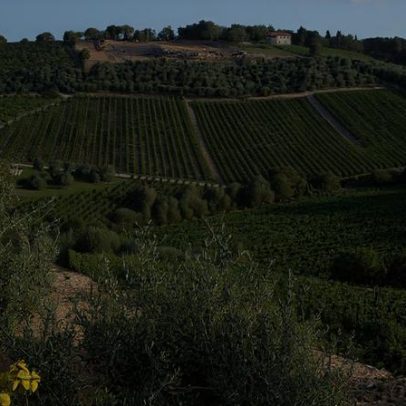 Gran Selezione Chianti Classico alcança marca de 100 pontos