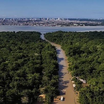 Meio ambiente: custo crescente da omissão afeta economia e sociedade