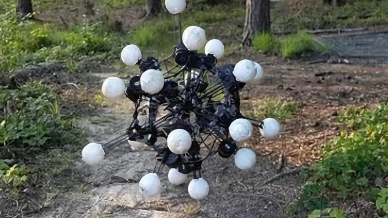 Robô tem 20 olhos, 20 pernas, mas não tem nem dianteira nem traseira