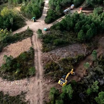 Concurso PMERJ 2027 é autorizado com 100 vagas para oficiais