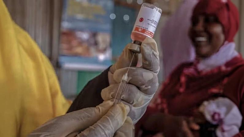 A malária é uma das principais causas de morte na África, sendo que, em 2024, cerca de 438 mil crianças africanas morreram em decorrência da doença