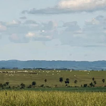 Pesquisadores buscam índice para traduzir estresse ambiental