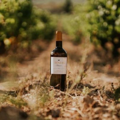 Bodegas Izadi redefine percepção sobre Rioja