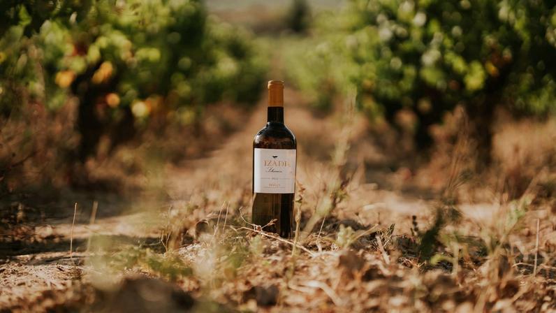Bottle of Bodegas Izadi wine in the middle of a row of vines