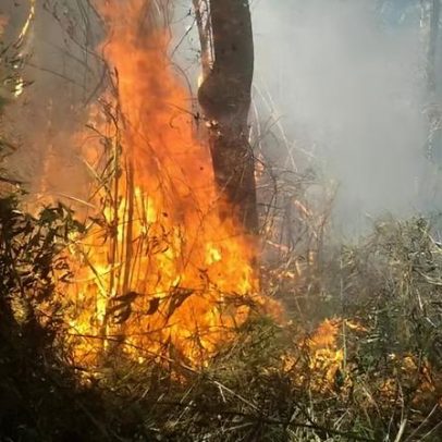 Governo destina R$ 337,5 milhões para combate a incêndios e fiscalização