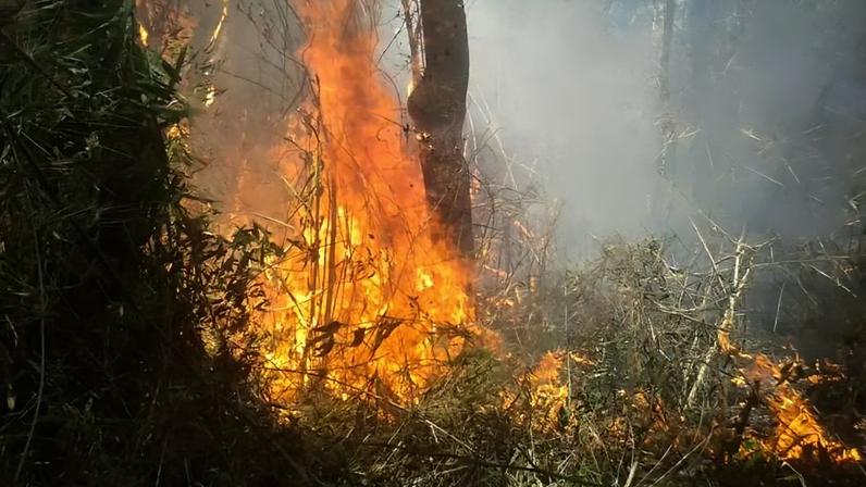Recursos serão executados pelo Ibama e pelo ICMBio; na foto, incêndio florestal