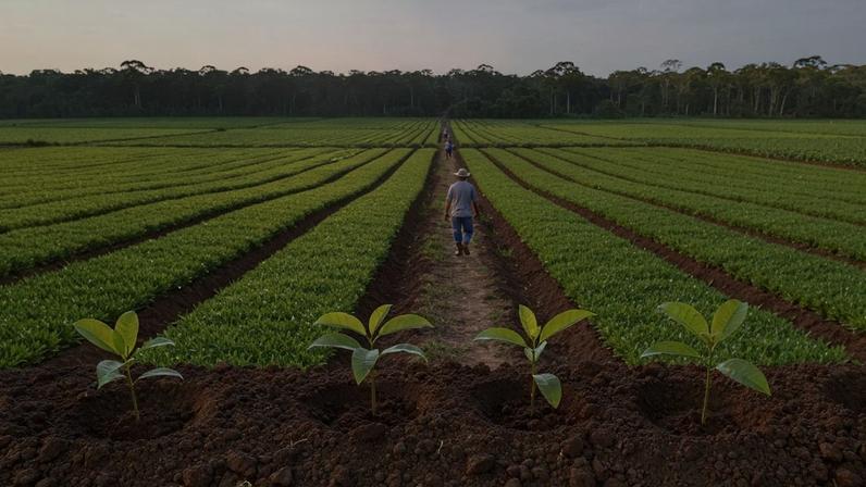 Incra amplia capacidade de comunidade quilombola no Pará para 64 famílias