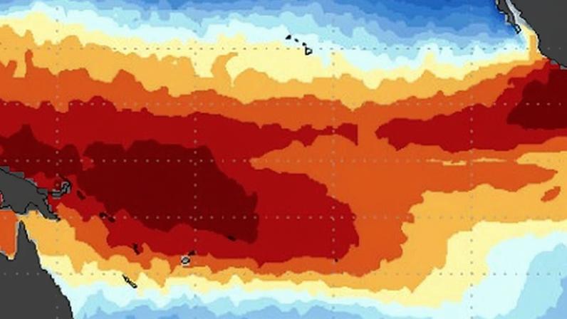 Animação da Temperatura da Superfície do Mar no Pacífico