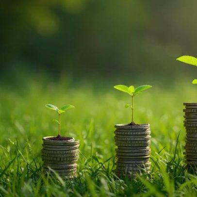 Financiamento freia avanços da agenda florestal antes da COP31