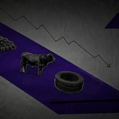 Soja, aço e carne brasileiras sofrem reveses na União Europeia