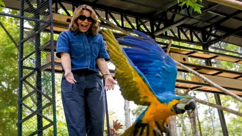 A primeira-dama Janja Lula da Silva celebrou o retorno de araras-canindé para um viveiro na Granja do Torto