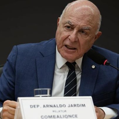 Jardim afirma acordo para derrubar veto a cortes em reguladoras