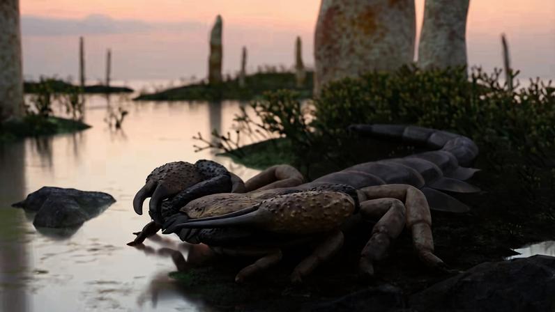 Uma reconstrução do Praearcturus gigas, o maior escorpião já conhecido, com pouco mais de 90 centímetros de comprimento