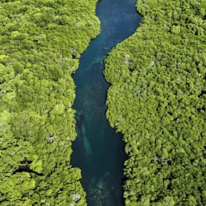 Pequenas ações podem virar forças planetárias