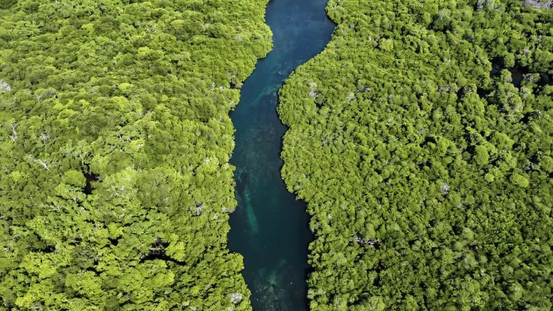 Pequenas ações podem virar forças planetárias