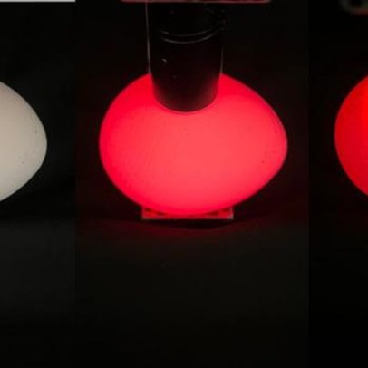 Estudo revela método para identificar o sexo de pintinhos no ovo