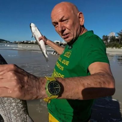 Governo encerra pesca da tainha em SC antes do prazo e explica razões