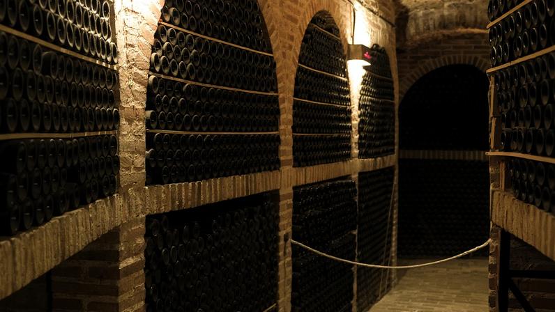 A cellar with walls lined with bottles of wine