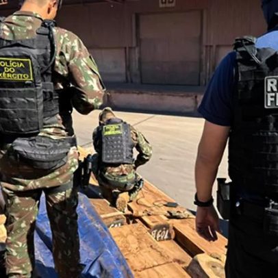 Esquema internacional usou madeira para esconder cocaína no Brasil