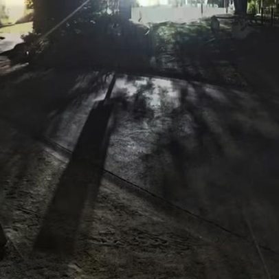 Diabo-da-tasmânia Mary é flagrado fugindo; cuidadores temem pela segurança