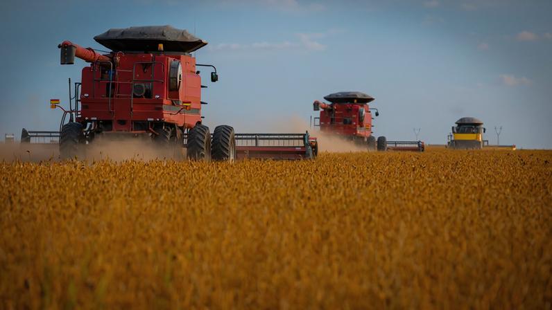 Imagem de máquinas agrícolas em ação - Metrópoles