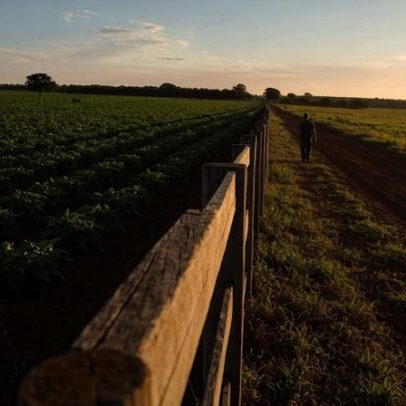 MDA contrata consultoria de R$ 126 mil para melhorar governança de terras