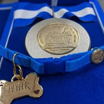 Cão Hulk, que farejou 48 t de maconha, recebe medalha em formato de osso
