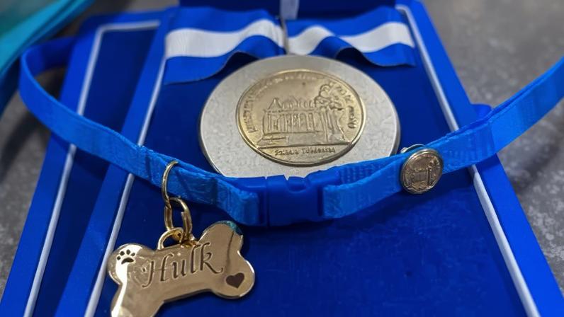 imagem colorida medalha homenagem cao hulk