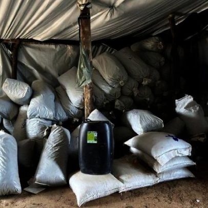 Polícia Civil apreende 1,8 tonelada de maconha em Francisco Sá após megaoperação