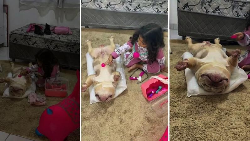 O cachorro CBAM nem se mexe enquanto Clara o examina, na brincadeira — Foto: Reprodução/ Instagram