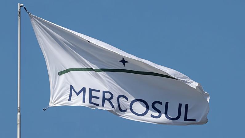 Acordo Mercosul-UE já gerou licenças com um mês de vigência, diz Miriam Belchior