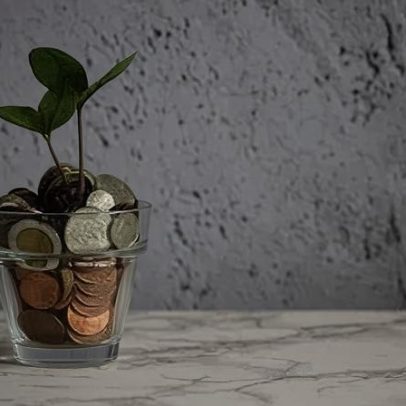 Sustentabilidade ajuda pequenos negócios a crescer com ganhos práticos