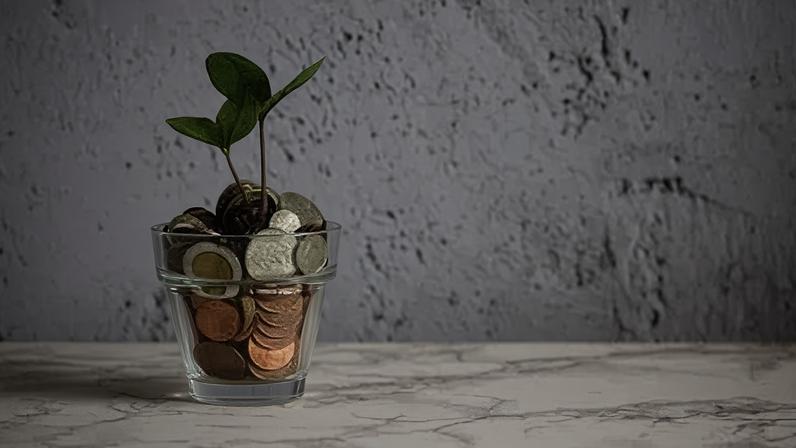 Uso inteligente dos recursos naturais, adoção de fontes renováveis de energia e gestão de resíduos aumentam valor e percepção de marca pelos consumidores