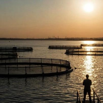 Ministério da Pesca autoriza missão técnica no Paraguai para tilapicultura
