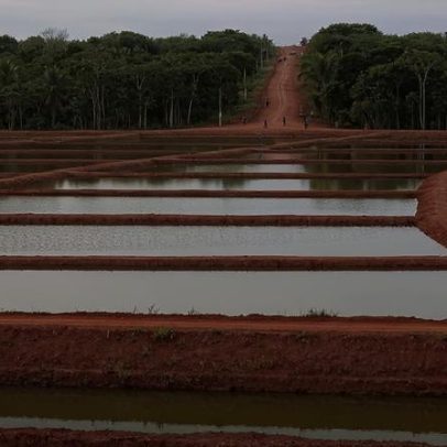Ministério da Pesca doa escavadeira a Alta Floresta D'Oeste (RO)