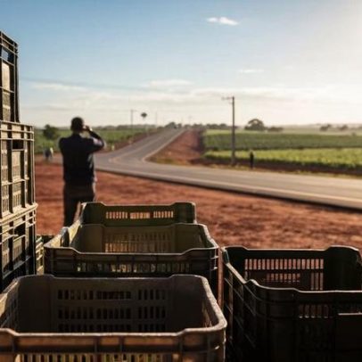 Ministério do Trabalho repassa R$ 300 mil à agricultura familiar em Ceres, GO