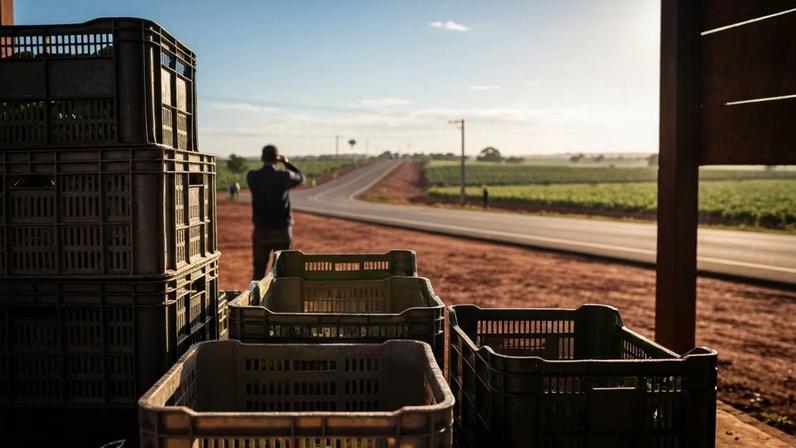 Ministério do Trabalho repassa R$ 300 mil para agricultura familiar em Ceres (GO)
