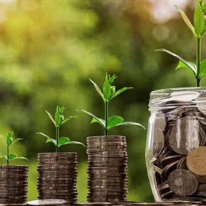 Febraban lança nova taxonomia sustentável após revisão