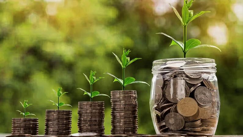 Após revisão, Febraban lançará nova taxonomia sustentável nas próximas semanas — Foto: Nattanan Kanchanaprat / Pixabay