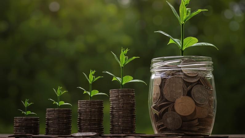 Eco Invest mira inovação e setores estratégicos em 5º leilão que pode mobilizar até R$ 55 bilhões — Foto: Pixabay