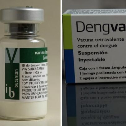Dengue: quem pode tomar Qdenga, Butantan-DV e Dengvaxia e quem fica de fora