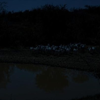 Montes Claros declara situação de emergência por estiagem